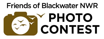 2021 Friends of Blackwater Photo Contest